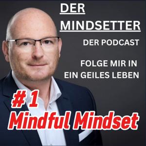 Der Mindsetter - folge mir in ein geiles Leben!