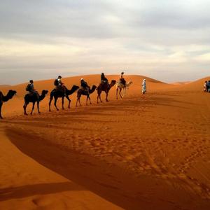 Global Gaming Frontiers: Iraq & Gulf