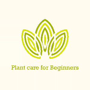 Plant care for Beginners