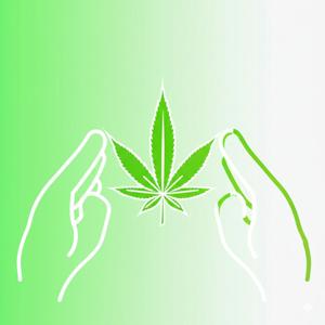 WeedTalk
