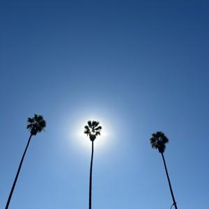 The Working Title Podcast