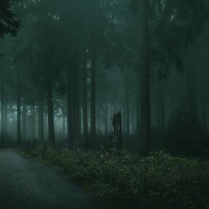 Stories From The Fourth Dimension