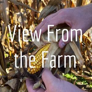 View From the Farm