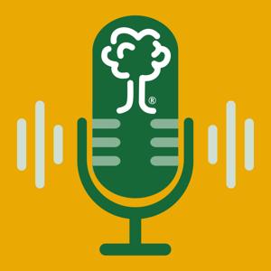 The KWB Wealth Big Picture Podcast