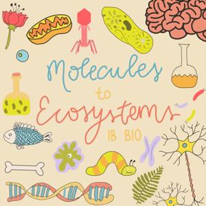 Molecules to Ecosystems | An IB Bio Podcast