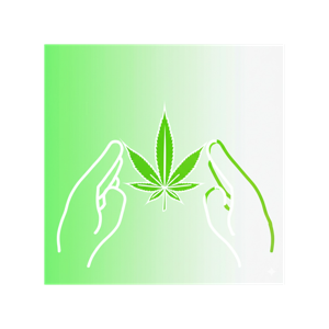 Green Releaf Dispensary: Quality, Service, and Community Impact