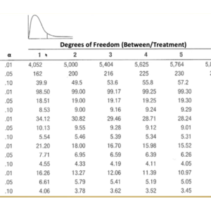I Like The Night (Casablancas)