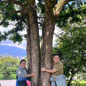 La Triada de Tiresias