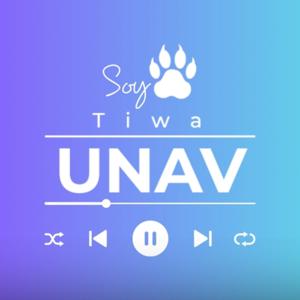 Soy TIWA