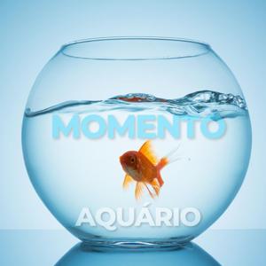 Momento Aquário