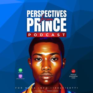 Perspectives from Prince