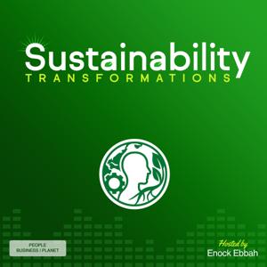 Sustainability Transformations