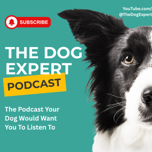The Dog Expert Podcast