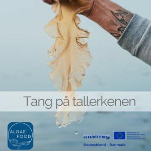 Tang på tallerkenen