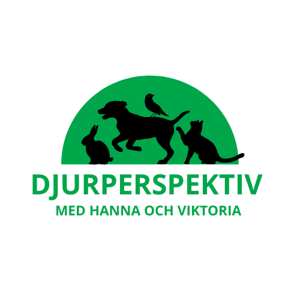 Djurperspektiv