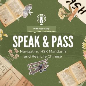 Speak & Pass: Navigating HSK Mandarin and Real Life Chinese