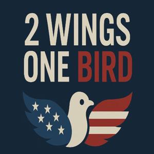 2 Wings 1 Bird