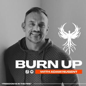 Burn Up