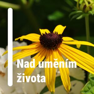 Nad uměním života