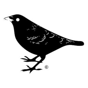 Ageless Echoes: Tribal Tales from Okoubird, LLC