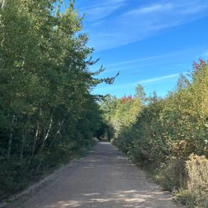 While I Was Walking: Brought to you by coffee and chaos