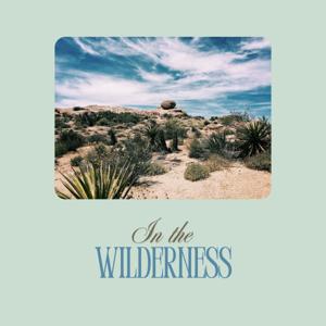 In the Wilderness