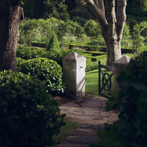 Beyond the Walled Garden Podcast
