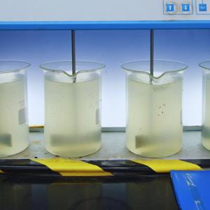 How the Rice Purity Test Shapes Social Identity