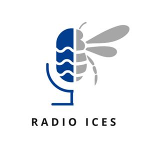 Radio ICES