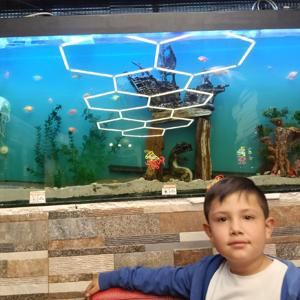 Las aventuras de Iron Man