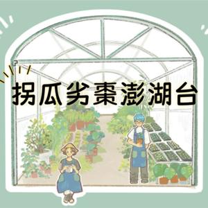 拐瓜劣棗澎湖台