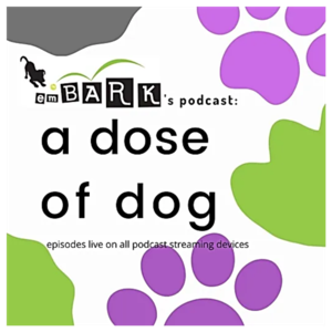 Dose of Dog