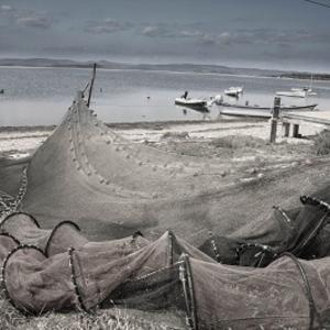 Le long des golfes clairs