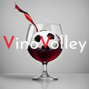 VinoVolley
