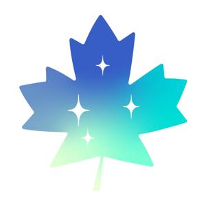 Northern Lights: Canadian Women in Tech & Business