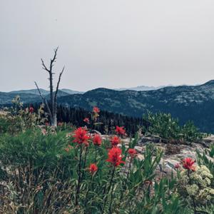 Council Valley Mennonite Church