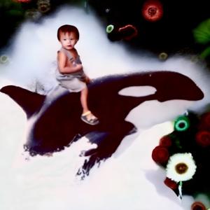 the whale experiment