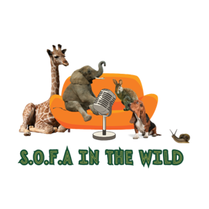 S.O.F.A In The Wild