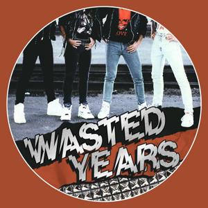 Wasted Years