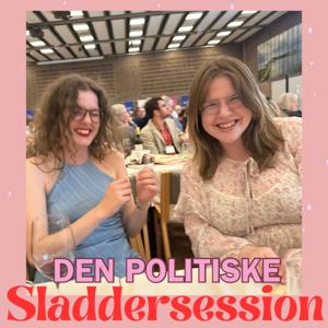 Den politiske sladdersession