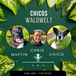 Chicos Waldwelt