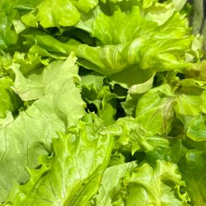 Lettuce