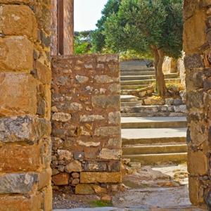 The Olive Press