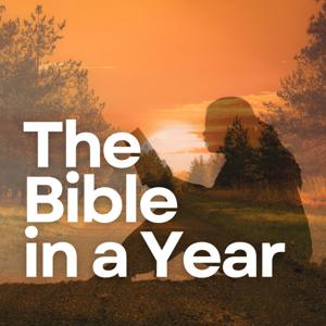 The Bible in a Year: Bible Study, Scriptures, Church