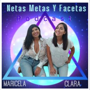 Netas, metas y facetas