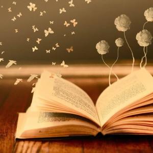 Un viaje a través de la  Literatura