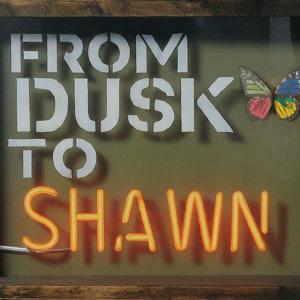 From Dusk To Shawn