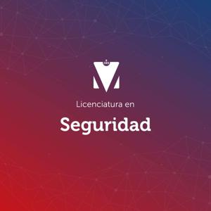 LICENCIATURA EN SEGURIDAD
