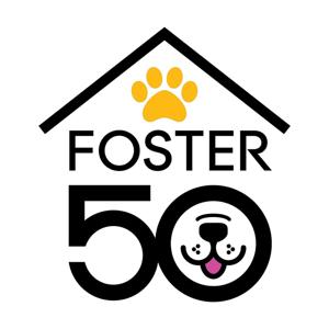 Foster 50 Challenge: The Audio Playbook