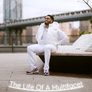 The Life Of A Multifacet
